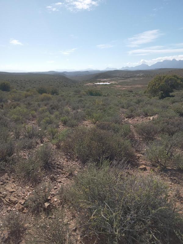 4 Bedroom Property for Sale in Riversdale Western Cape